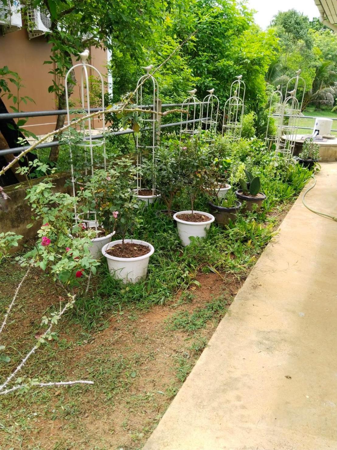 Thanid House Ban Nai Khlong Exterior photo